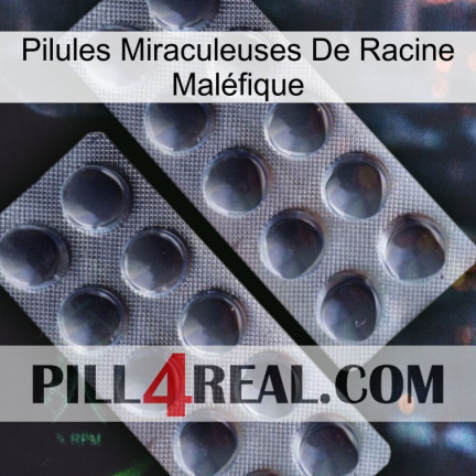 Pilules Miraculeuses De Racine Maléfique 31